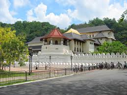 මිහිදු ආරණ්‍යසෙනාසනය