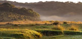 HORTON PLAINS NATIONAL PARK