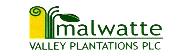 MALWATTE VALLEY PLANTATIONS PLC