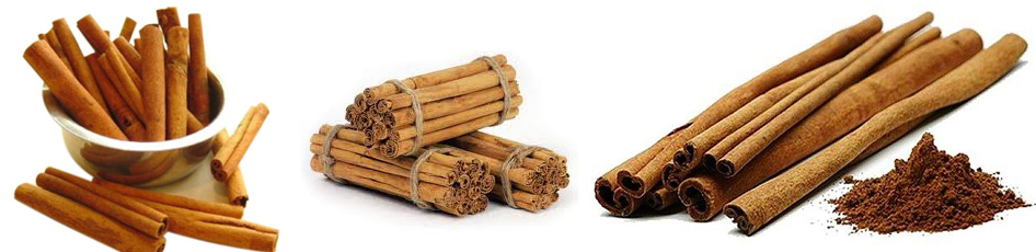 Carlton Estate Cinnamon Exporters