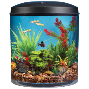 Angel Aquarium (Pvt) Ltd