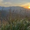 Little Adam's Peak and Lookout