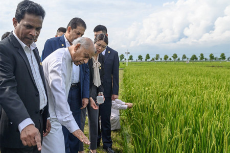 Chinese experts to begin pilot project on high-yielding paddy farming in SL