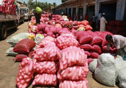 Considerable price reduction of vegetables, seen at the manning market, peliyagoda.