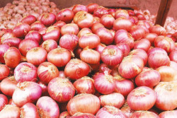 B onion importation incurs Rs 80 bilion loss for the government