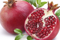 Two new higher yielding pomegranate varieties successful