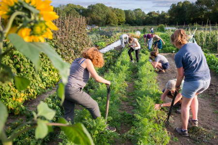 Sri Lanka to enhance community farming and forest protection with Portugal firm aid ,