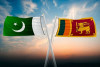 Pakistan-Sri Lanka trade dispute unresolved: Report