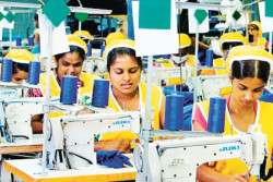 Apparel export earnings dip 13% in November